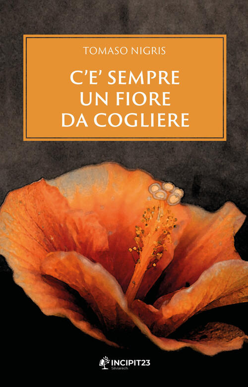 C'e Sempre Un Fiore Da Cogliere Tomaso Nigris Incipit23 2021