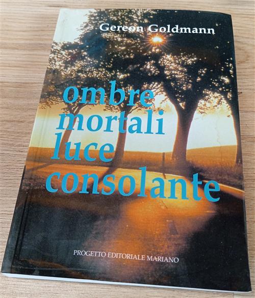 Ombre Mortali Luce Consolante Gereon Goldmann Progetto 2005